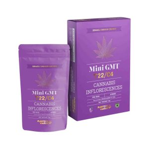 Gmt Mini -ג'י אם טי מיני