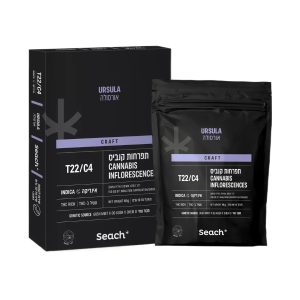 אורסולה-Ursula