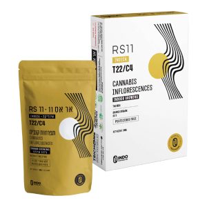 אר אס 11 מיני  - RS11 Mini