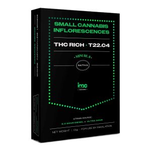 בי.אס מיני - B.S Mini