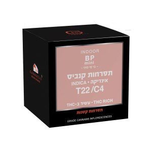 בי פי מיני - BP Mini