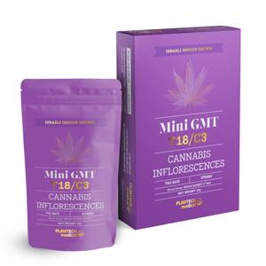 ג'י אם טי מיני - G.M.T Mini