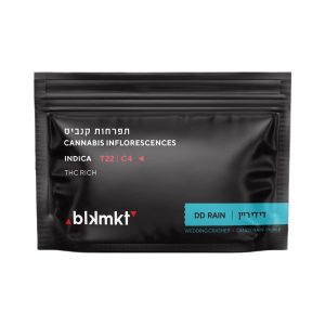 די די ריין - DD Rain