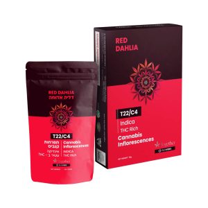 דליה אדומה - Red Dahlia