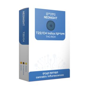 נאונייט - Neonight