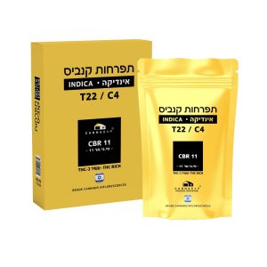 סי בי אר 11 - CBR11