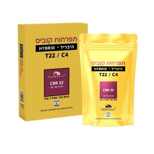 סי בי אר 22 - CBR 22