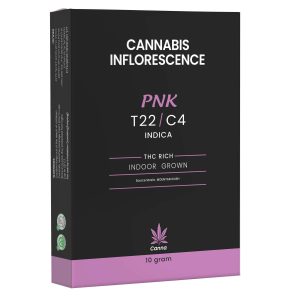 פי.אן.קיי - P.N.K