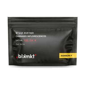 ריינבו פי - Rainbow P