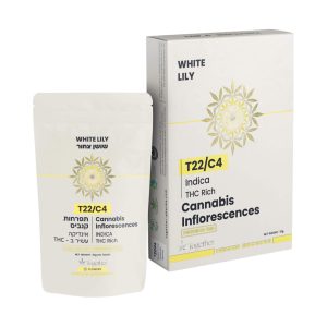 שושן צחור - White Lily