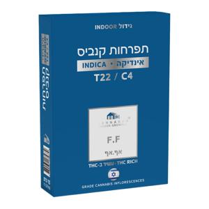 אף אף - F.F