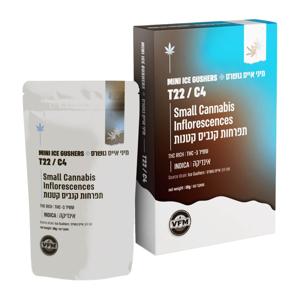 אייס גושרס מיני - Ice Gushers Mini